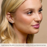 14K Rose Gold 1/4 CTW Natural Diamond Cocktail-Style Earrings