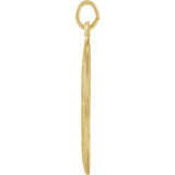 Miraculous Necklace Or Medal